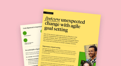 Goal setting for agile teams